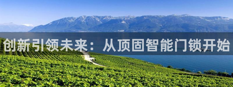 利记手机官网：创新引领未来：从顶固智能门锁开始