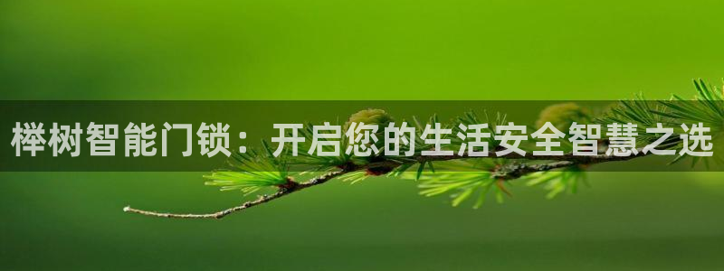 利记网官网：榉树智能门锁：开启您的生活安全智慧之选