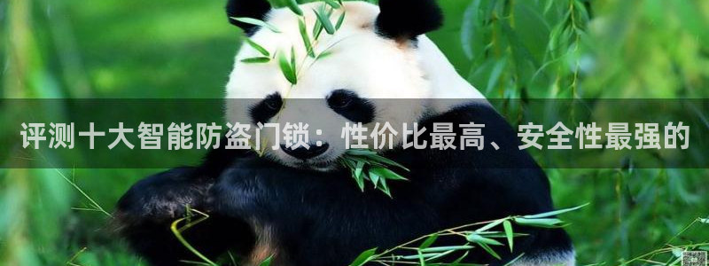 万利记官网：评测十大智能防盗门锁：性价比最高、安全性最强的