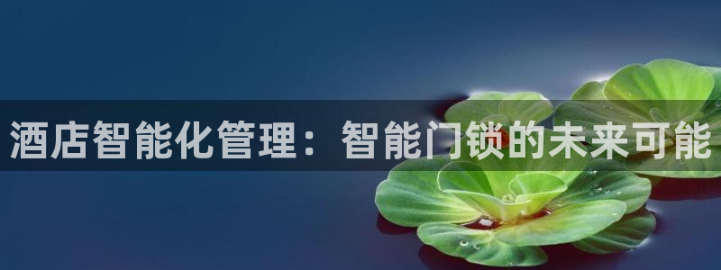 利记app官网入口：酒店智能化管理：智能门锁的未来可能