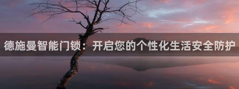 利记官网登录入口：德施曼智能门锁：开启您的个性化生活安全防护