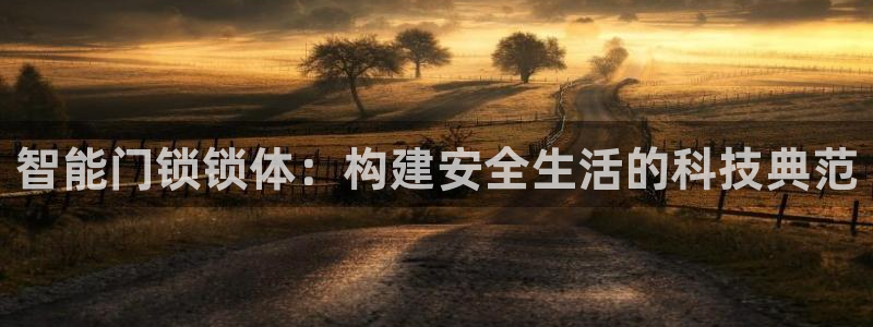 利记官网会员登录：智能门锁锁体：构建安全生活的科技典范