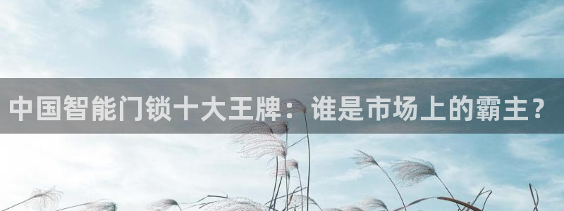 利记厨具官网客服电话：中国智能门锁十大王牌：谁是市场上的霸主