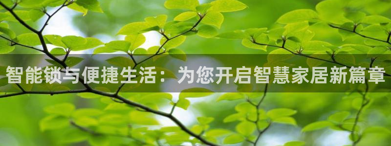 SBOBET利记官网：智能锁与便捷生活：为您开启智慧家居新篇