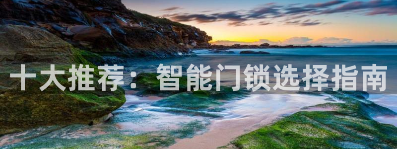 利记正式官网：十大推荐：智能门锁选择指南