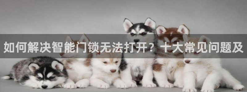 利记官网注册：如何解决智能门锁无法打开？十大常见问题及