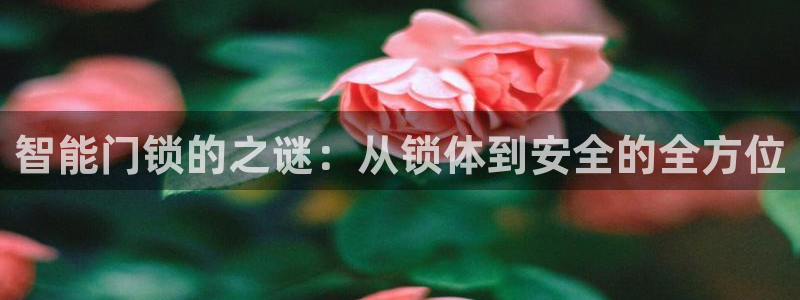 新利记官网：智能门锁的之谜：从锁体到安全的全方位
