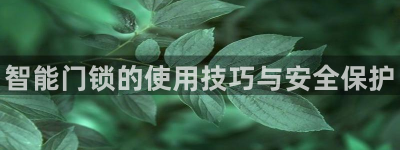 澳博官网app利记网址：智能门锁的使用技巧与安全保护