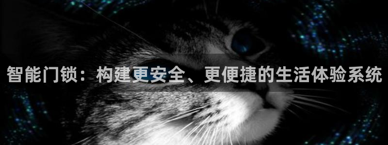 利记正式官网：智能门锁：构建更安全、更便捷的生活体验系统