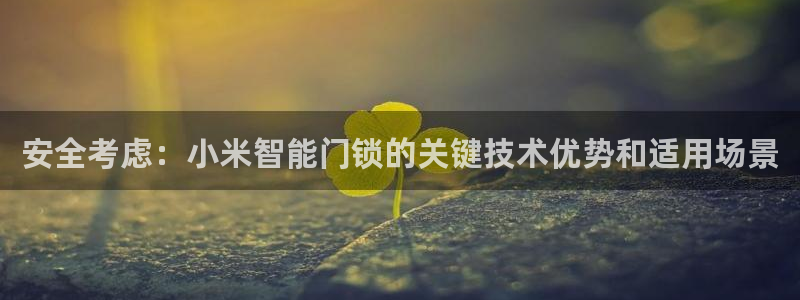 利记88官网app：安全考虑：小米智能门锁的关键技术优势和适