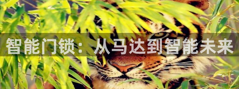 利记88官网app：智能门锁：从马达到智能未来