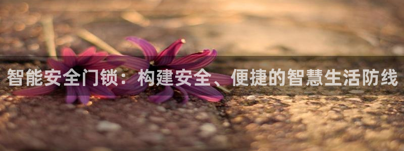 利记app官网入口：智能安全门锁：构建安全、便捷的智慧生活防