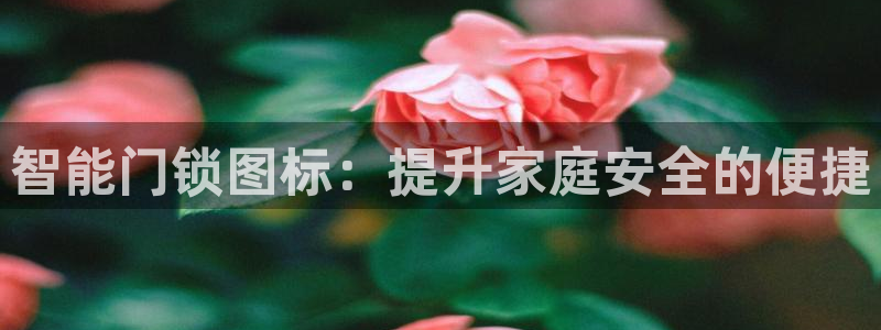 香港利记集团官网：智能门锁图标：提升家庭安全的便捷