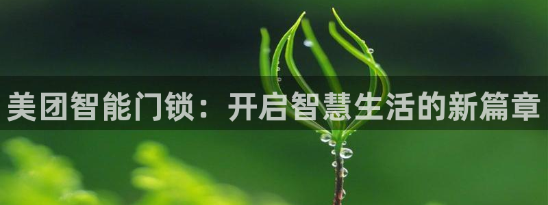 利记网址注册官网：美团智能门锁：开启智慧生活的新篇章