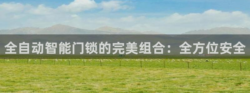 利记手机官网bb电子平台官方：全自动智能门锁的完美组合：全方