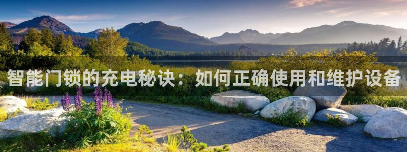 铂利记旗舰店官网：智能门锁的充电秘诀：如何正确使用和维护设备