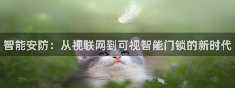 香港利记集团官网旗舰店：智能安防：从视联网到可视智能门锁的新