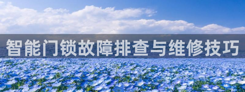 利记现场官网：智能门锁故障排查与维修技巧
