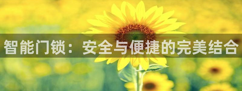 利记网址注册官网：智能门锁：安全与便捷的完美结合