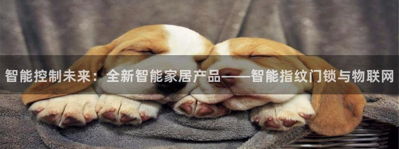 利记官网行业领导者：智能控制未来：全新智能家居产品——智能指