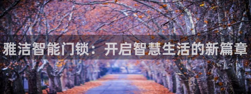 利记彩票官网wx678 com：雅洁智能门锁：开启智慧生活的
