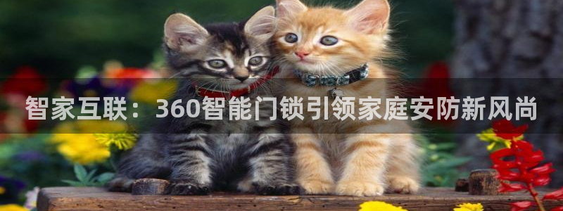 新利记官网：智家互联：360智能门锁引领家庭安防新风尚