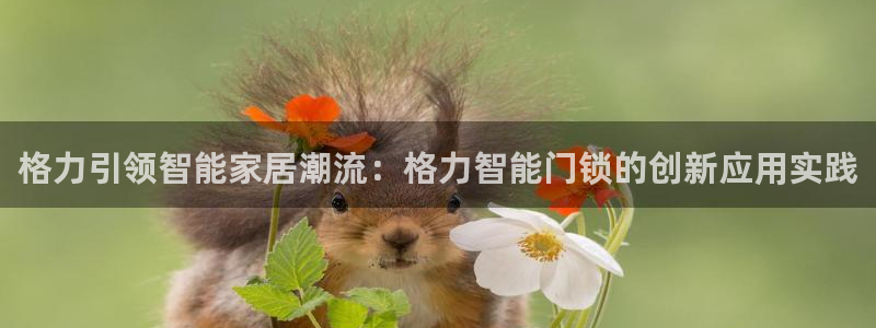 利记官网行业领导者：格力引领智能家居潮流：格力智能门锁的创新
