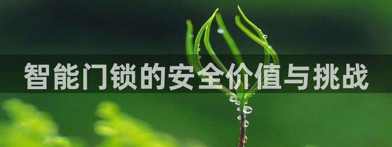 万利记唯一官网：智能门锁的安全价值与挑战