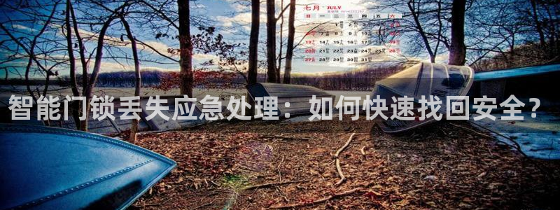 万利记官方旗舰店官网：智能门锁丢失应急处理：如何快速找回安全