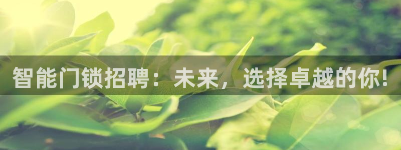 利记手机官网电子mg官方网站：智能门锁招聘：未来，选择卓越的