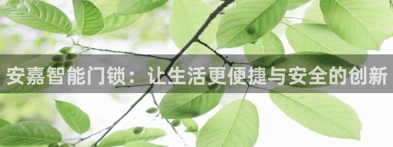 利记娱乐网唯一官网：安嘉智能门锁：让生活更便捷与安全的创新