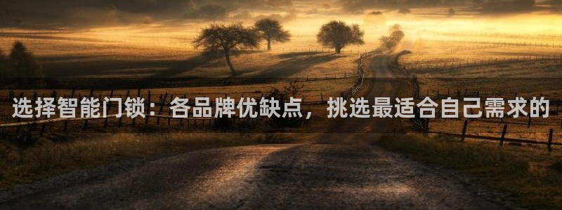 利记官网注册网：选择智能门锁：各品牌优缺点，挑选最适合自己需