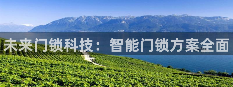 利记体育官网：未来门锁科技：智能门锁方案全面