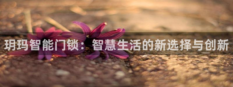 万利记加盟官网电话：玥玛智能门锁：智慧生活的新选择与创新