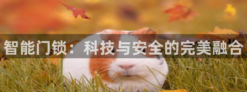 利记网址注册官网：智能门锁：科技与安全的完美融合