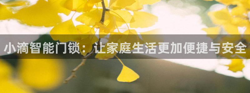 利记网址注册官网：小滴智能门锁：让家庭生活更加便捷与安全