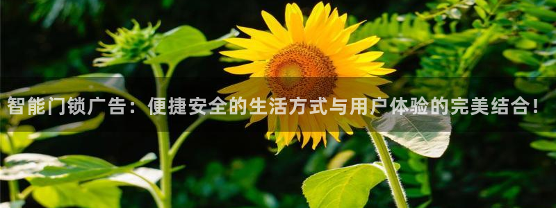 利记厨具官网售后：智能门锁广告：便捷安全的生活方式与用户体验