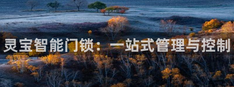 利记bet官网登录入口：灵宝智能门锁：一站式管理与控制
