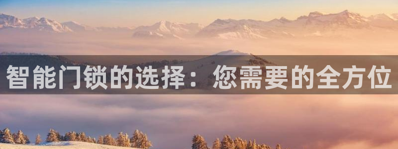 利记足球官网：智能门锁的选择：您需要的全方位