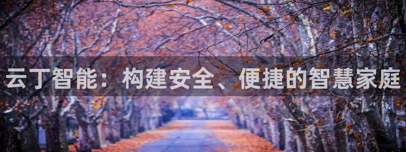 利记体育在线官网：云丁智能：构建安全、便捷的智慧家庭