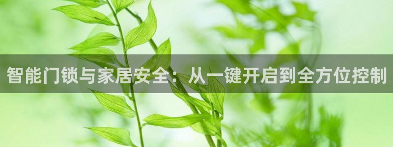 利记厨具官网售后：智能门锁与家居安全：从一键开启到全方位控制