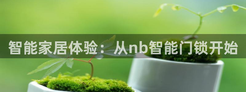 利记体育投注官网：智能家居体验：从nb智能门锁开始