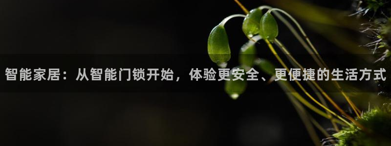 香港利记lee kee集团官网：智能家居：从智能门锁开始，体