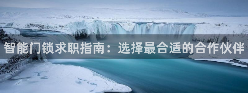 利记二手车行官网：智能门锁求职指南：选择最合适的合作伙伴