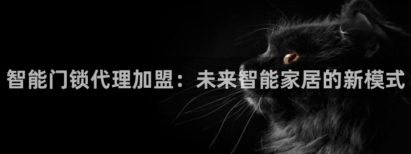 利记买球官网：智能门锁代理加盟：未来智能家居的新模式