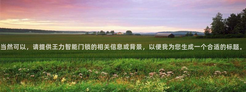 利记体育平台官网：当然可以，请提供王力智能门锁的相关信息或背