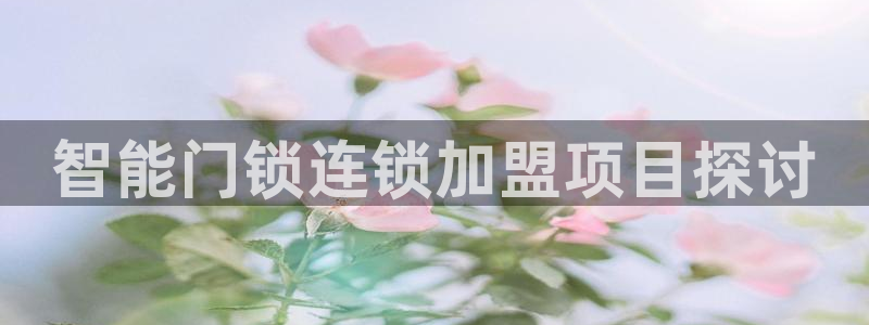 利记体育投注官网：智能门锁连锁加盟项目探讨