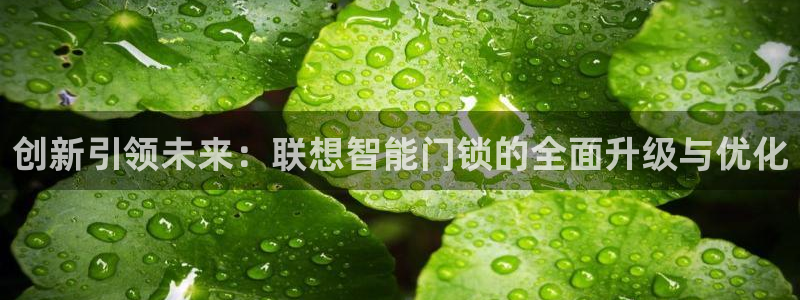 万利记官网电话：创新引领未来：联想智能门锁的全面升级与优化