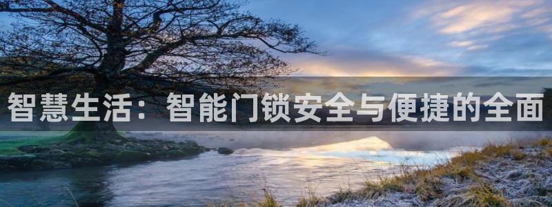利记坊官网注册账号：智慧生活：智能门锁安全与便捷的全面