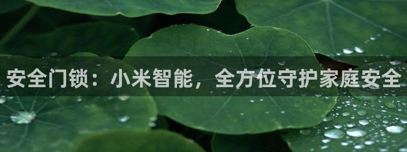 利记信誉官网：安全门锁：小米智能，全方位守护家庭安全